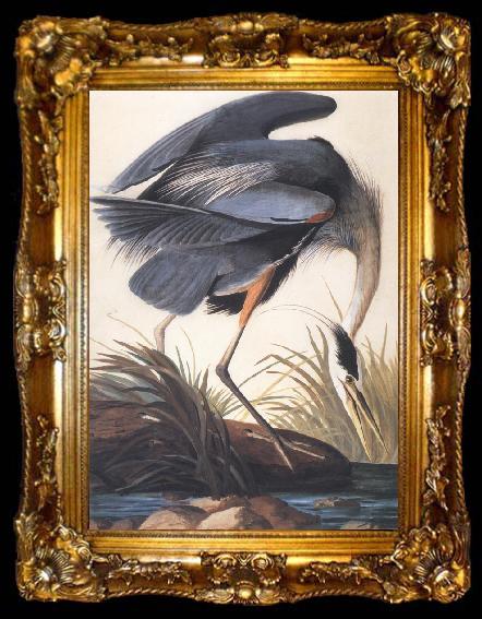 framed  John James Audubon Great Blue Heron, ta009-2